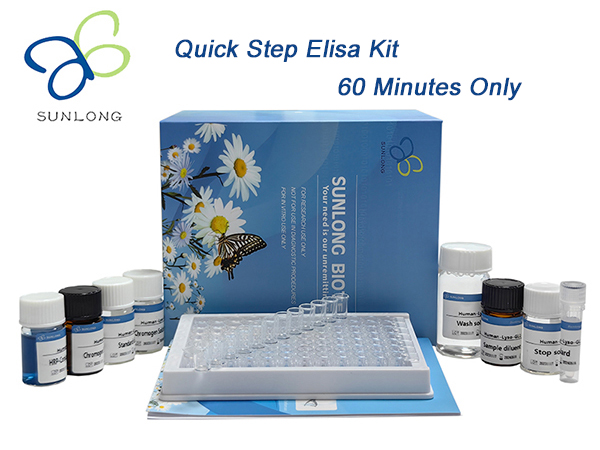 Quick Step Human breast cancer susceptibility protein 2,BRCA-2 ELISA Kit