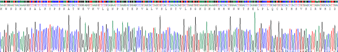 Recombinant Leukemia Inhibitory Factor Receptor (LIFR)