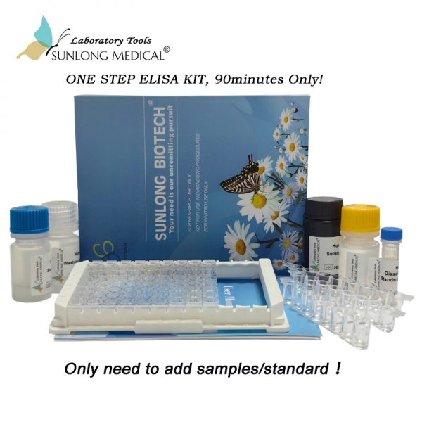 One Step ELISA Kit For Human Interleukin 6 (IL6)