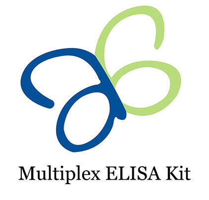 Human Inflammation 10-Plex Cytokine Elisa Kit