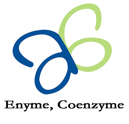 Coenzyme A hydrate  