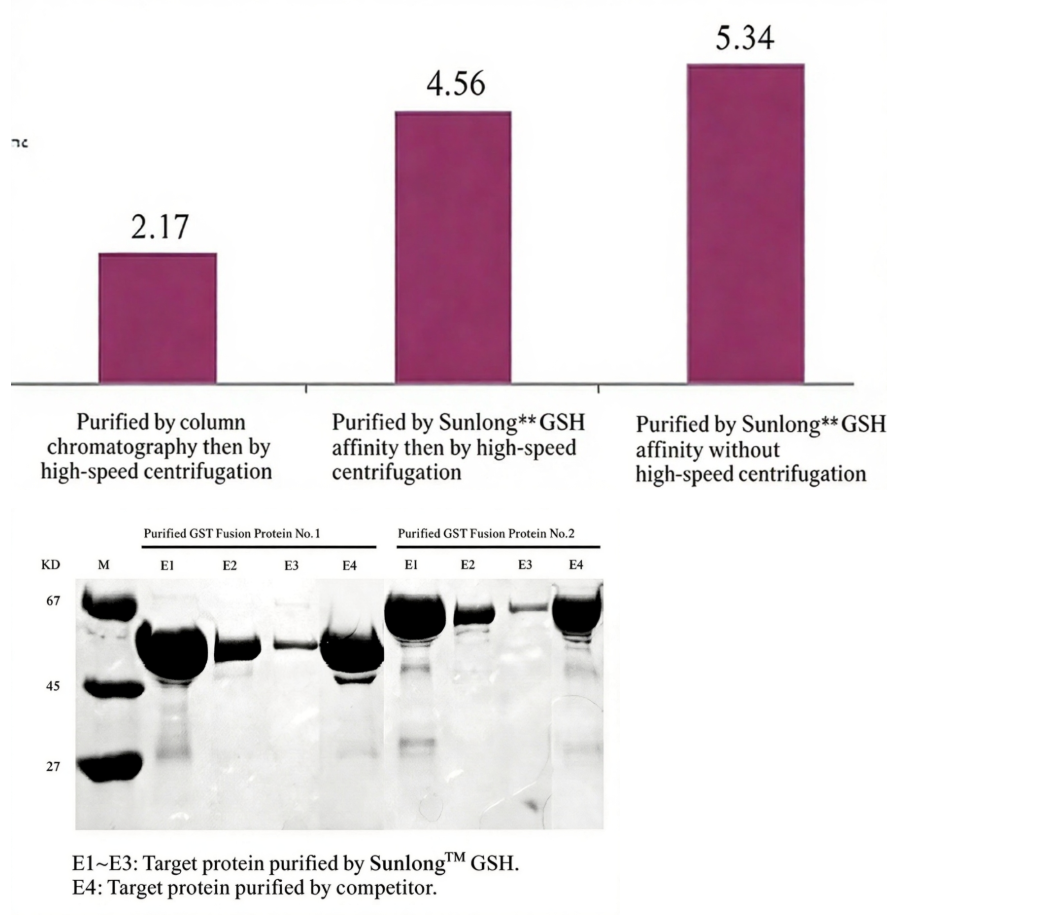 GST fusion protein purification magnetic beads_Protein  Purification_Magnetic Beads_SUNLONG BIOTECH CO., LTD-